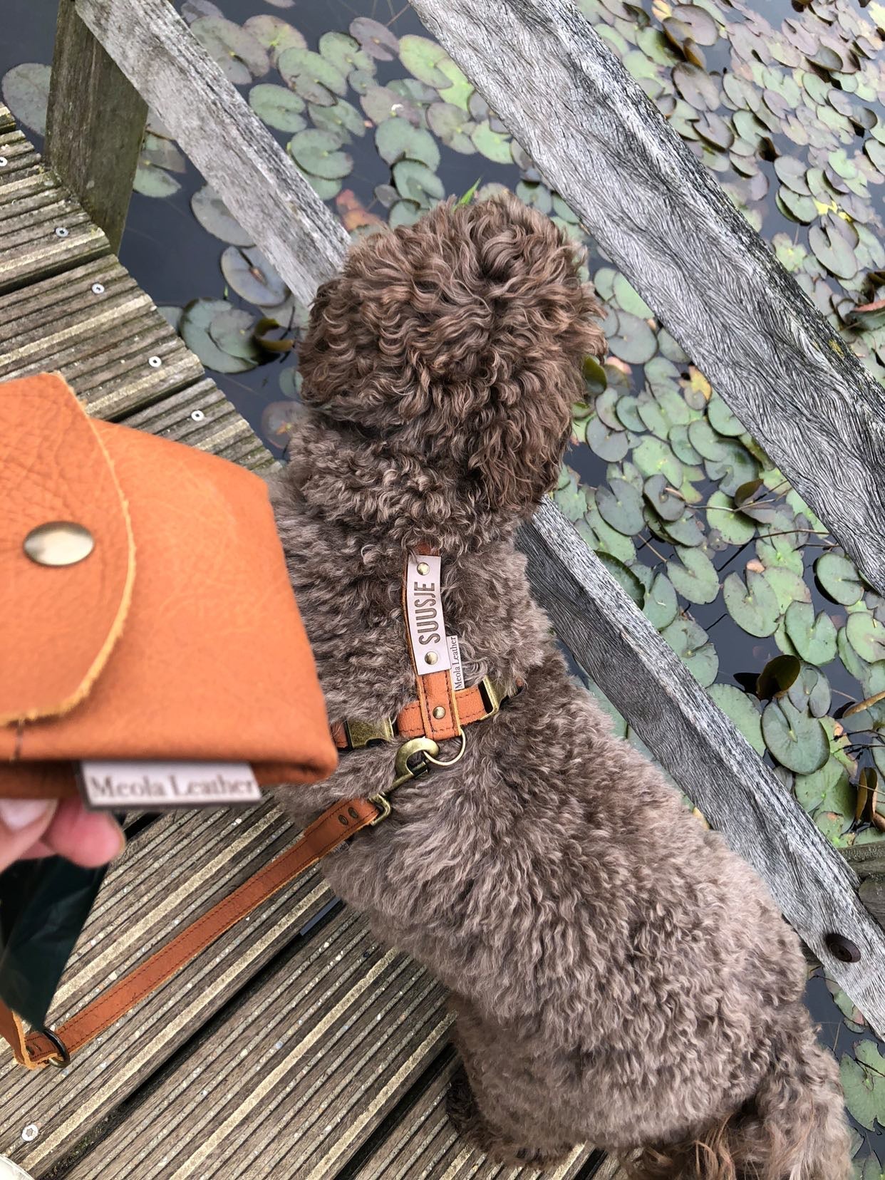Leren hondentuig cognac doodle gepersonaliseerd