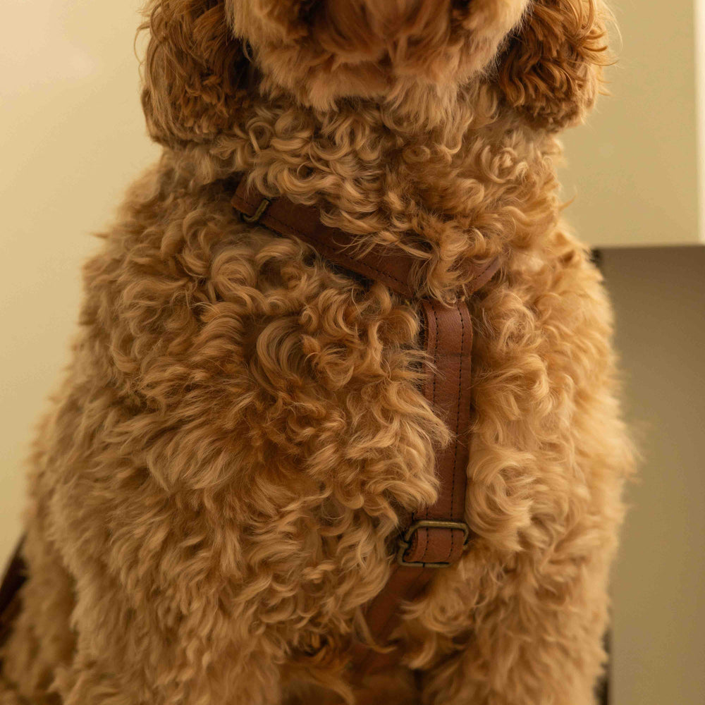 Ytuig dat niet over het hoofd hoeft