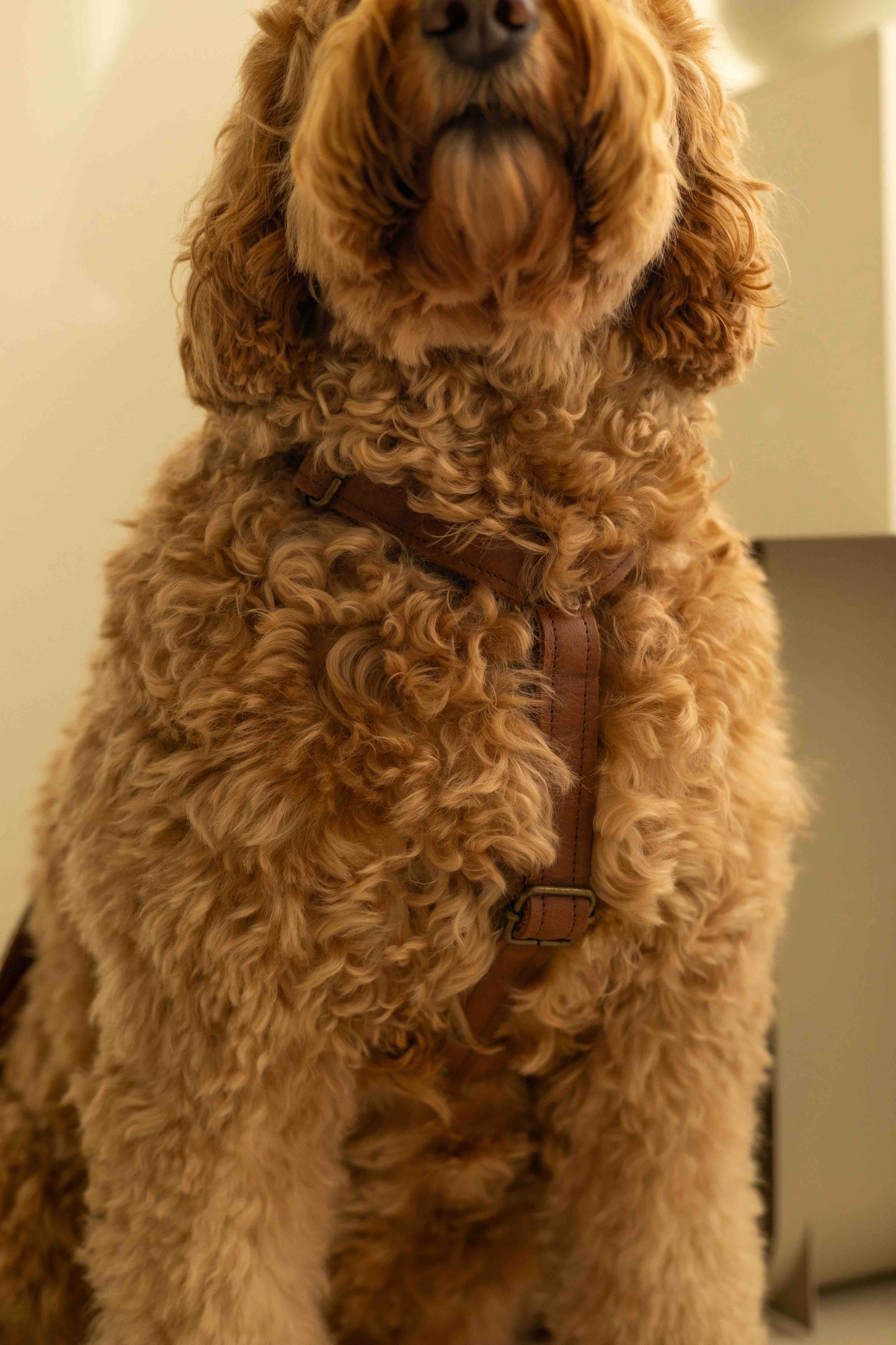 Ytuig dat niet over het hoofd hoeft