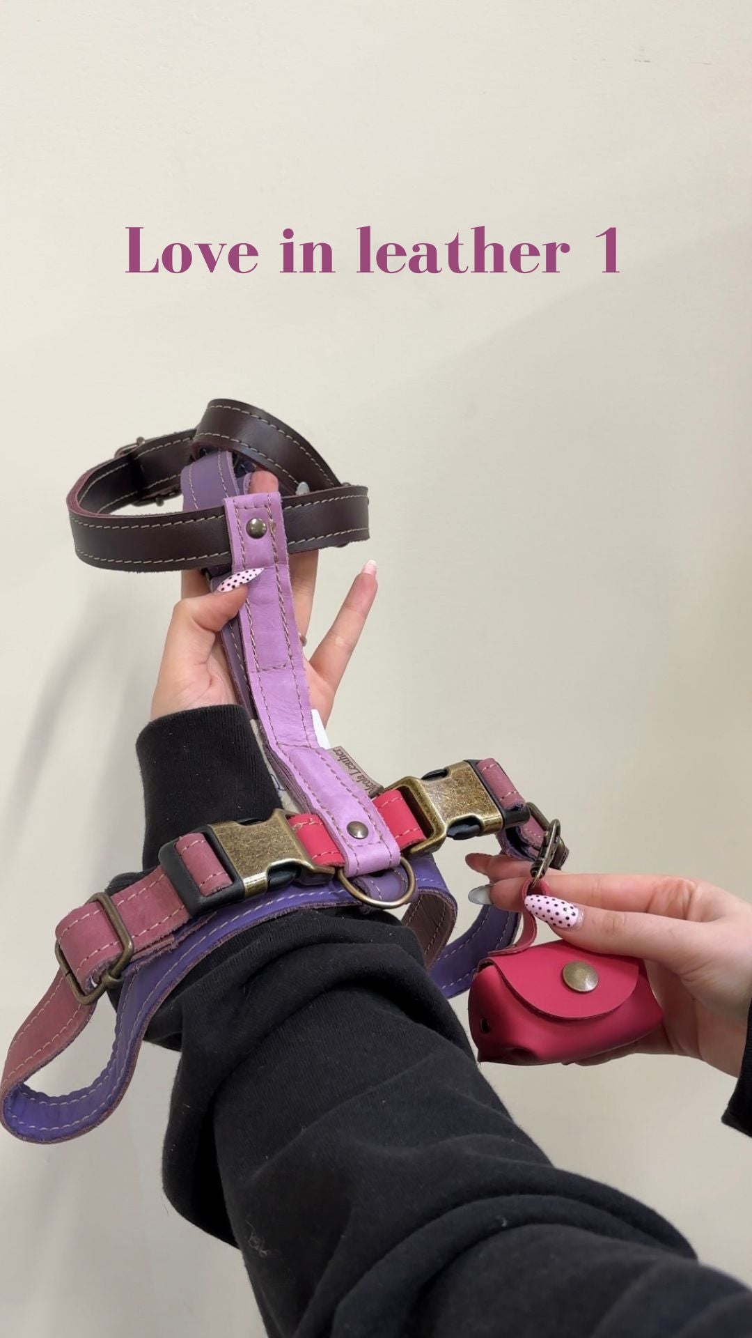 Meola Leather Dogs handmade leather dog harness LIMITED COLLECTION