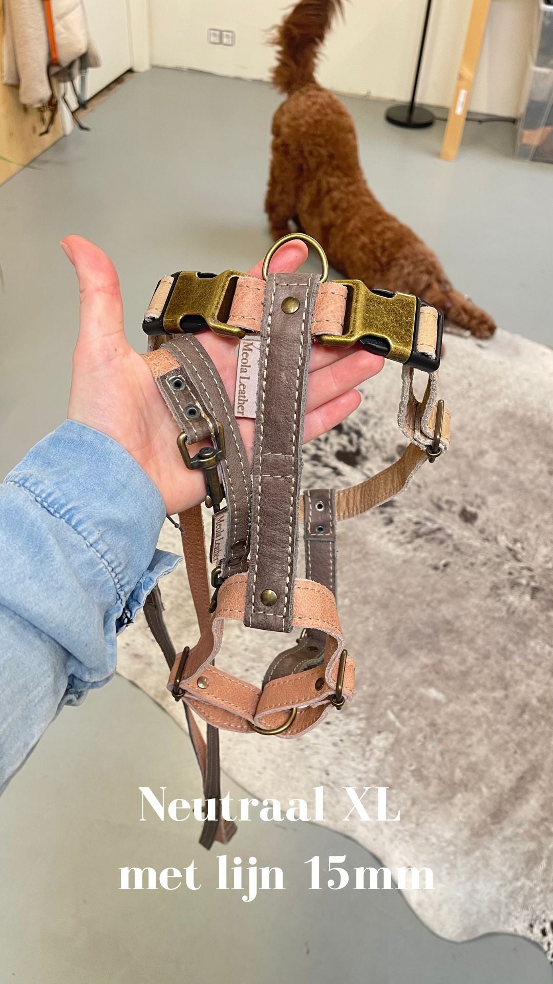 Meola Leather Dogs handmade leather dog harness LIMITED COLLECTION