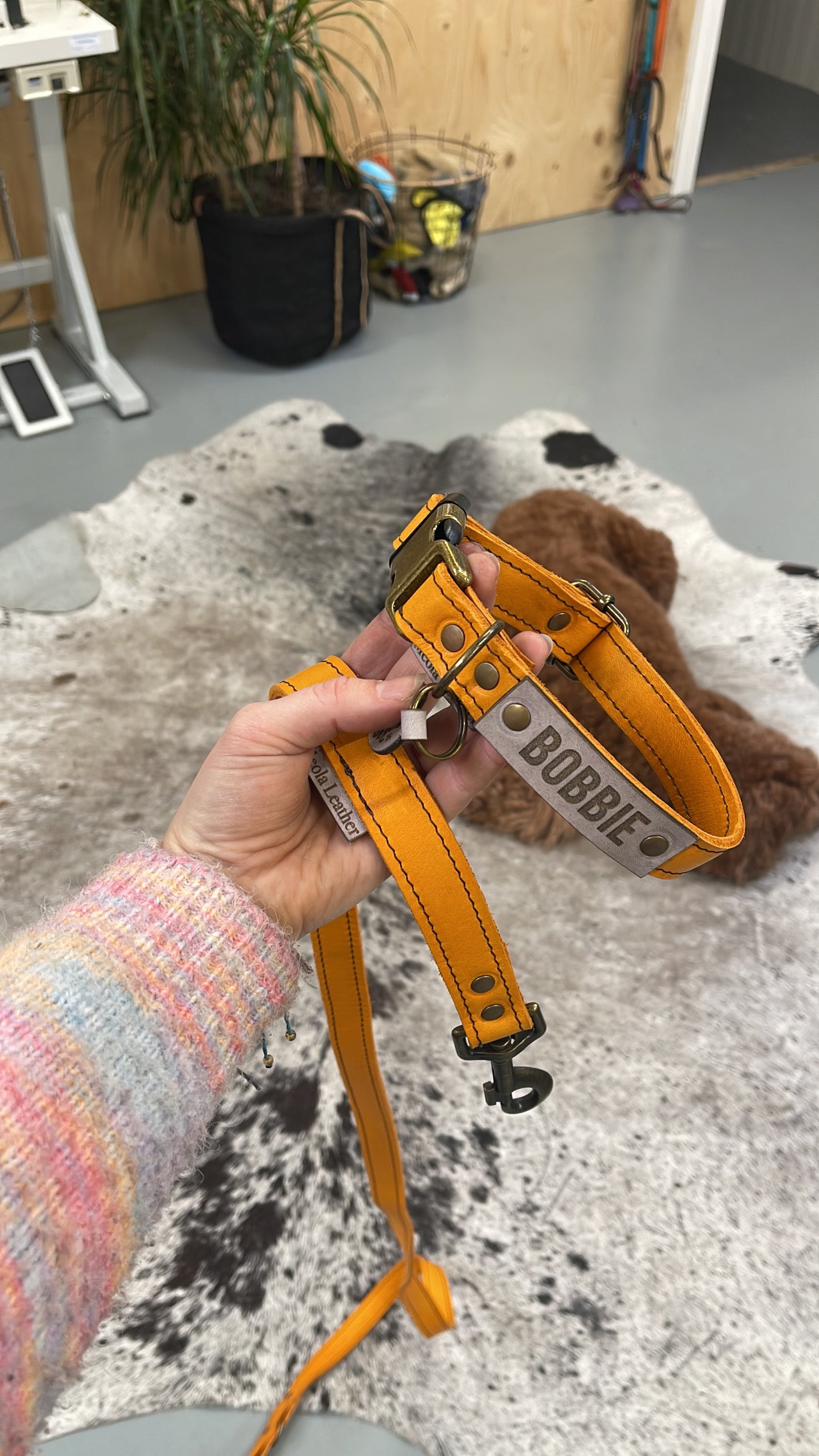 Meola Leather Dogs leather click collars SALE