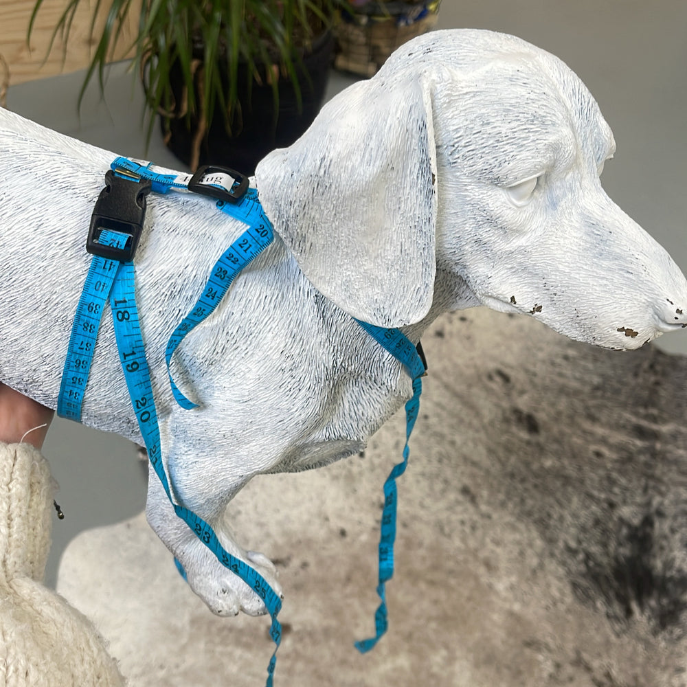 MEETLINT TUIG pasmodel om je hond op te meten