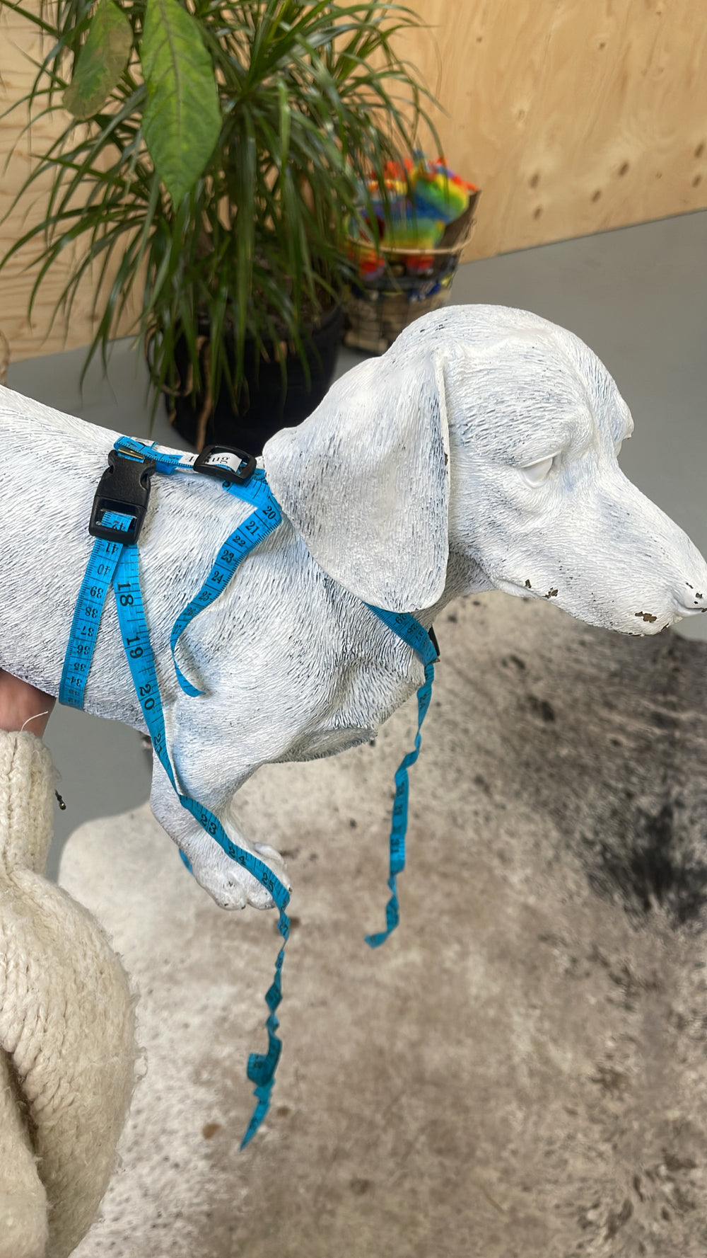 MEETLINT TUIG pasmodel om je hond op te meten