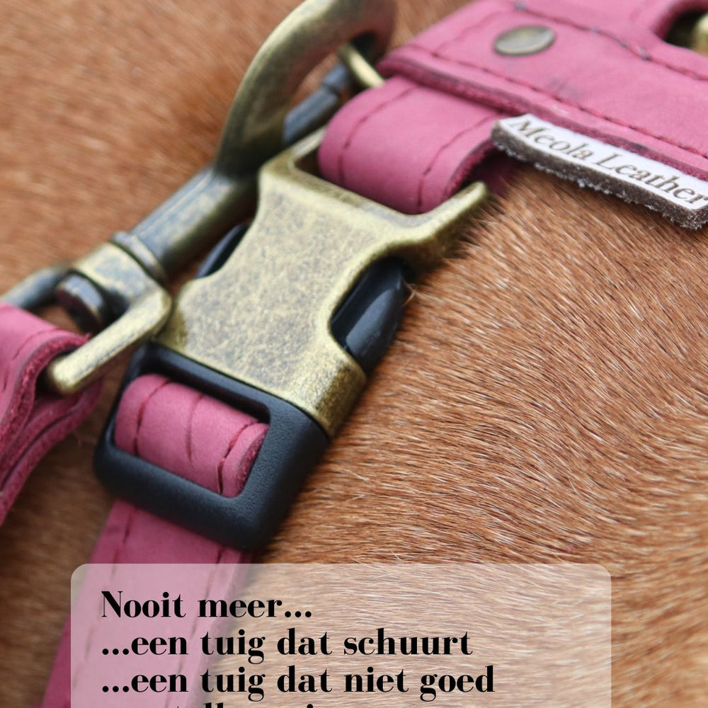 Detail hondentuig leer wijnrood