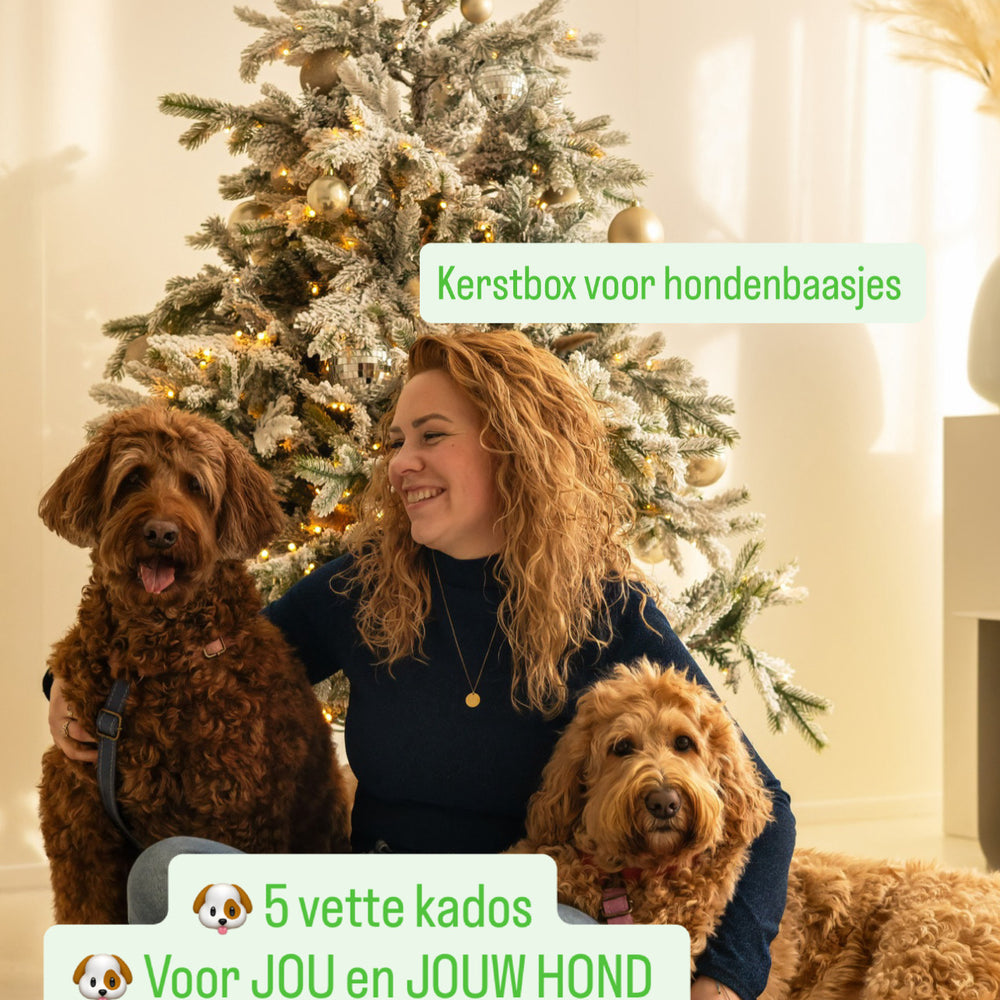 Kerstbox voor hondenbaasjes