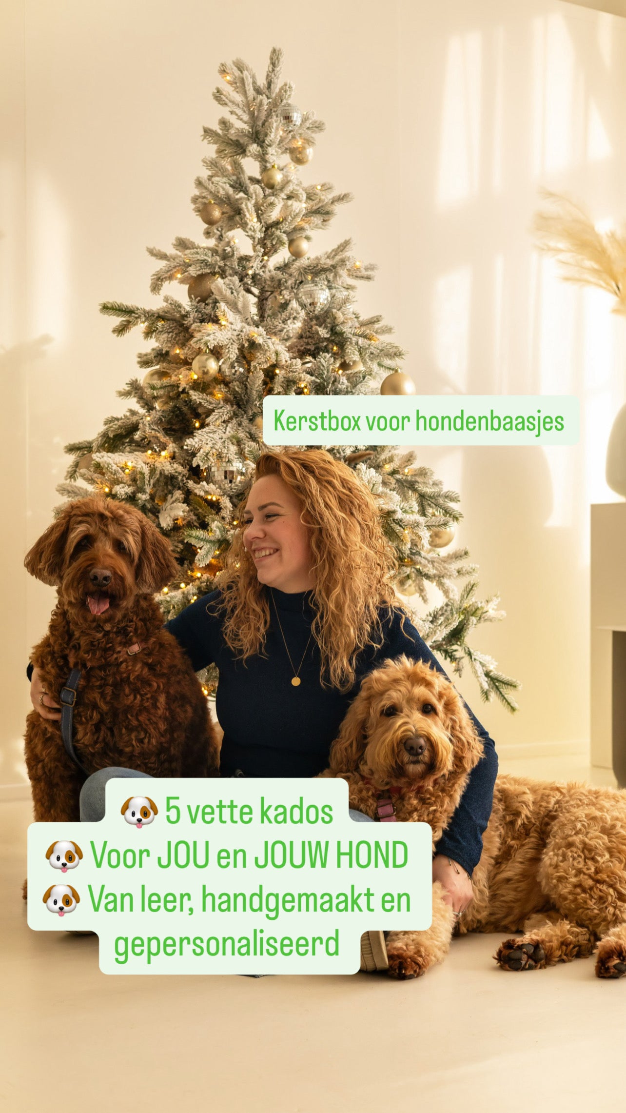 Kerstbox voor hondenbaasjes
