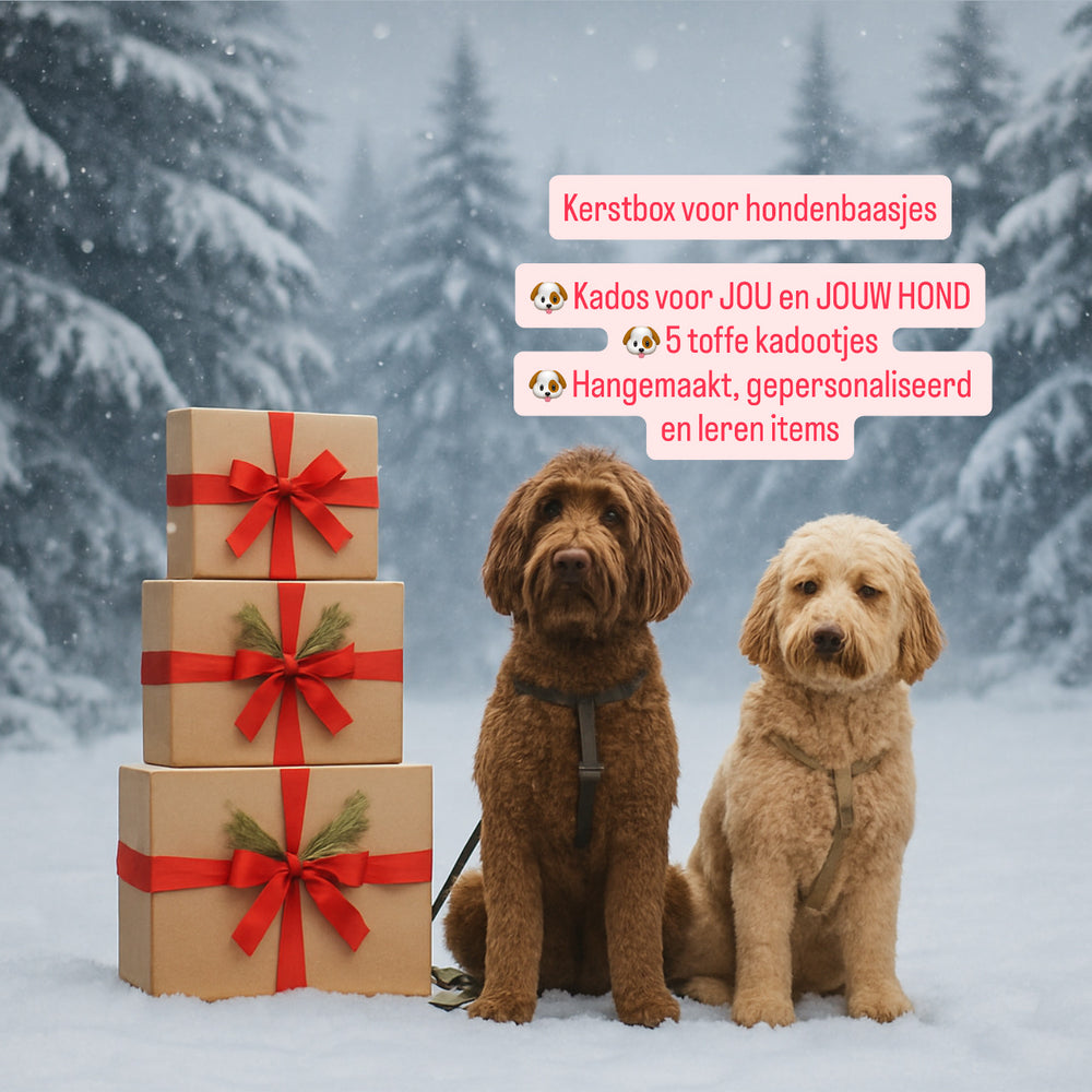 Kerstbox voor hondenbaasjes sneeuwachtergrond