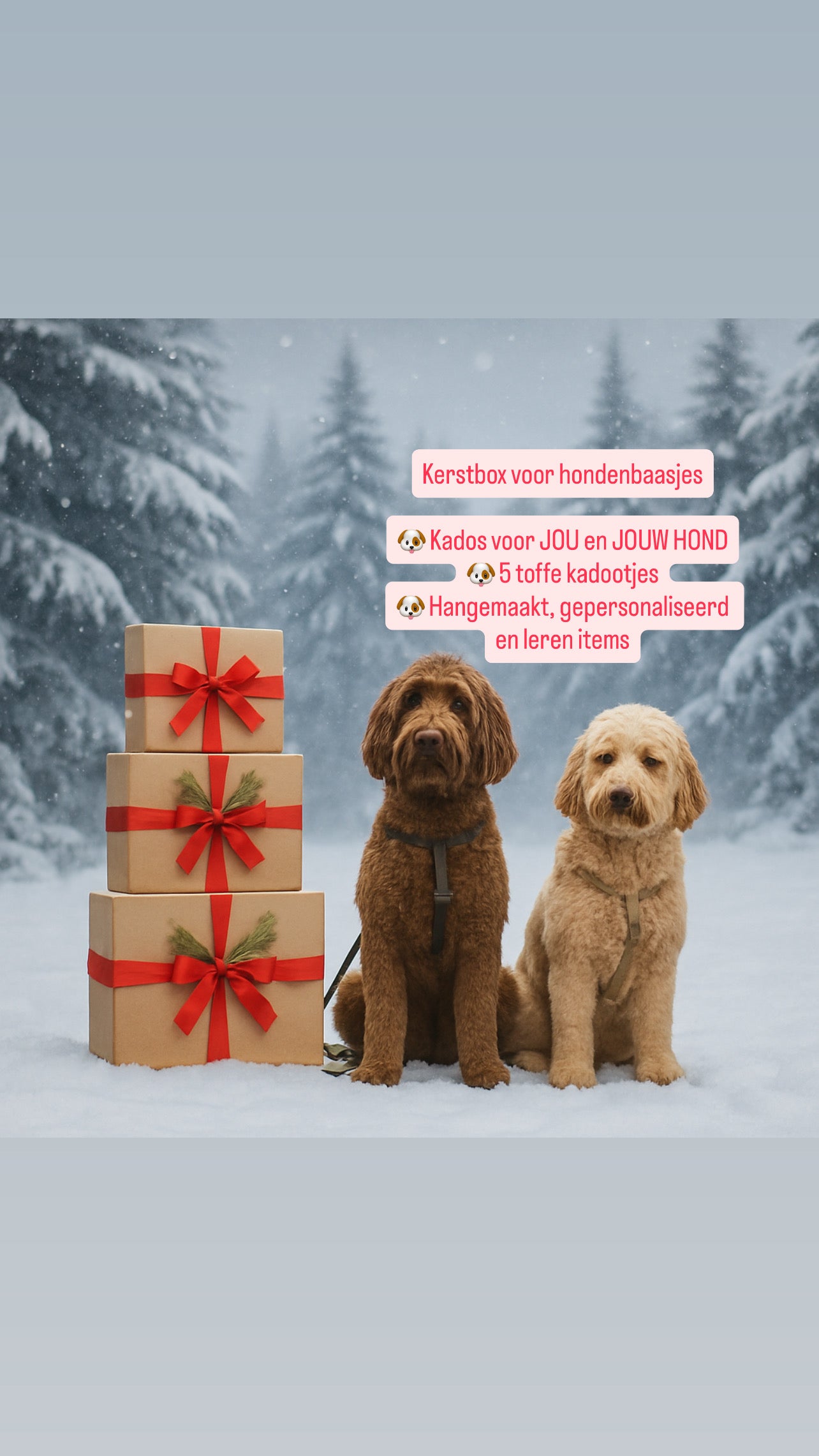 Kerstbox voor hondenbaasjes sneeuwachtergrond