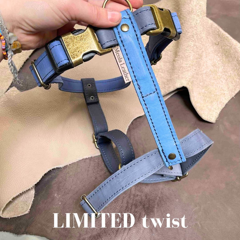 
                      
                        Limited collectie kleuren XL tuigjes
                      
                    