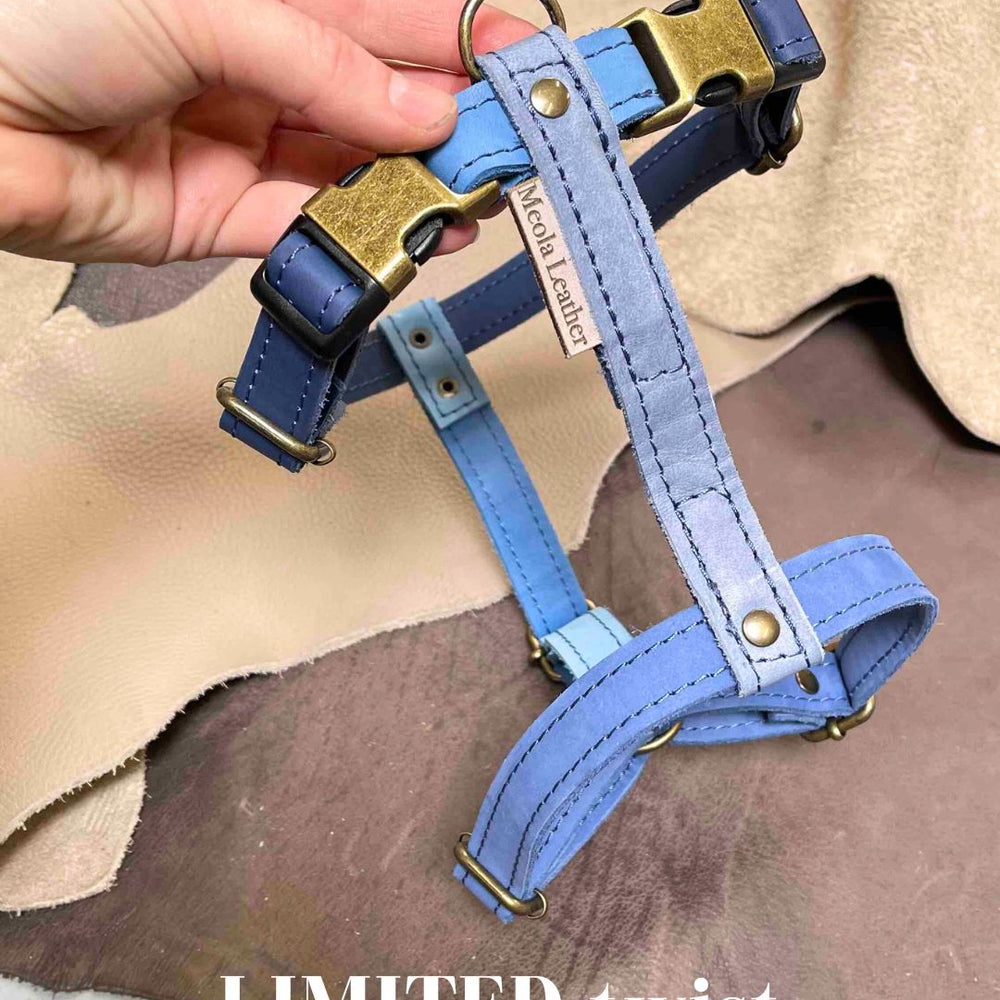 Limited collectie kleuren L tuigjes