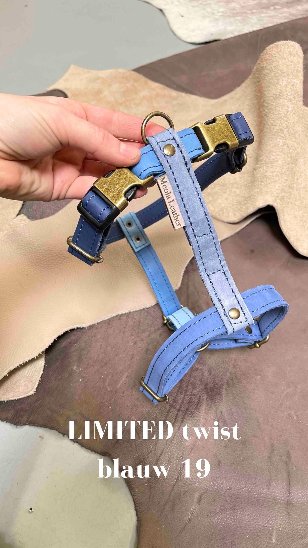 Limited collectie kleuren L tuigjes