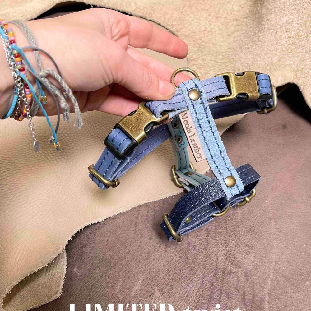 Limited collectie kleuren S tuigjes