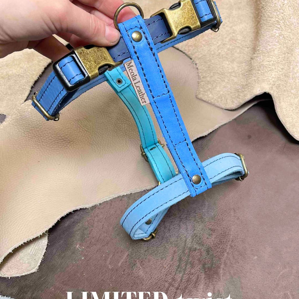 Limited collectie kleuren L tuigjes