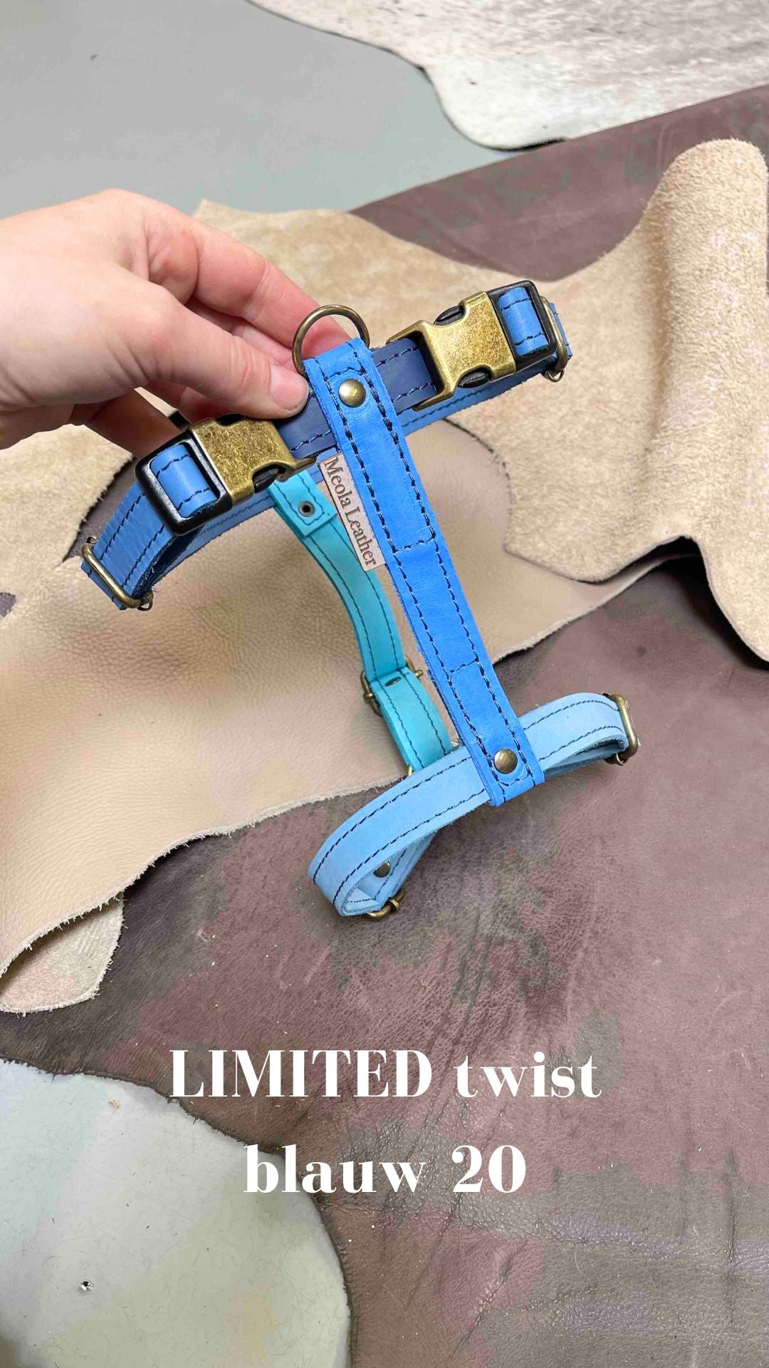 Limited collectie kleuren L tuigjes