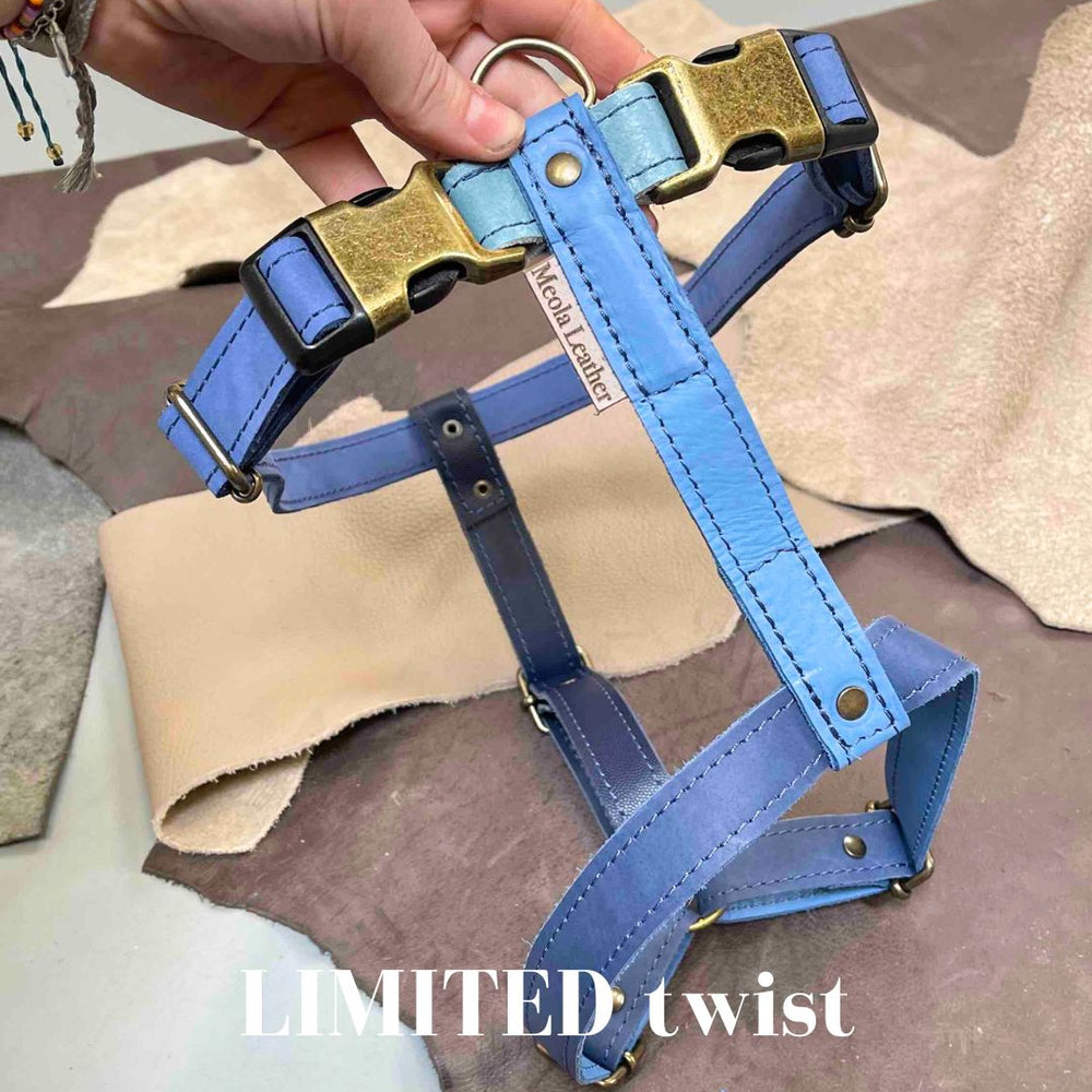 
                      
                        Limited collectie kleuren XL tuigjes
                      
                    