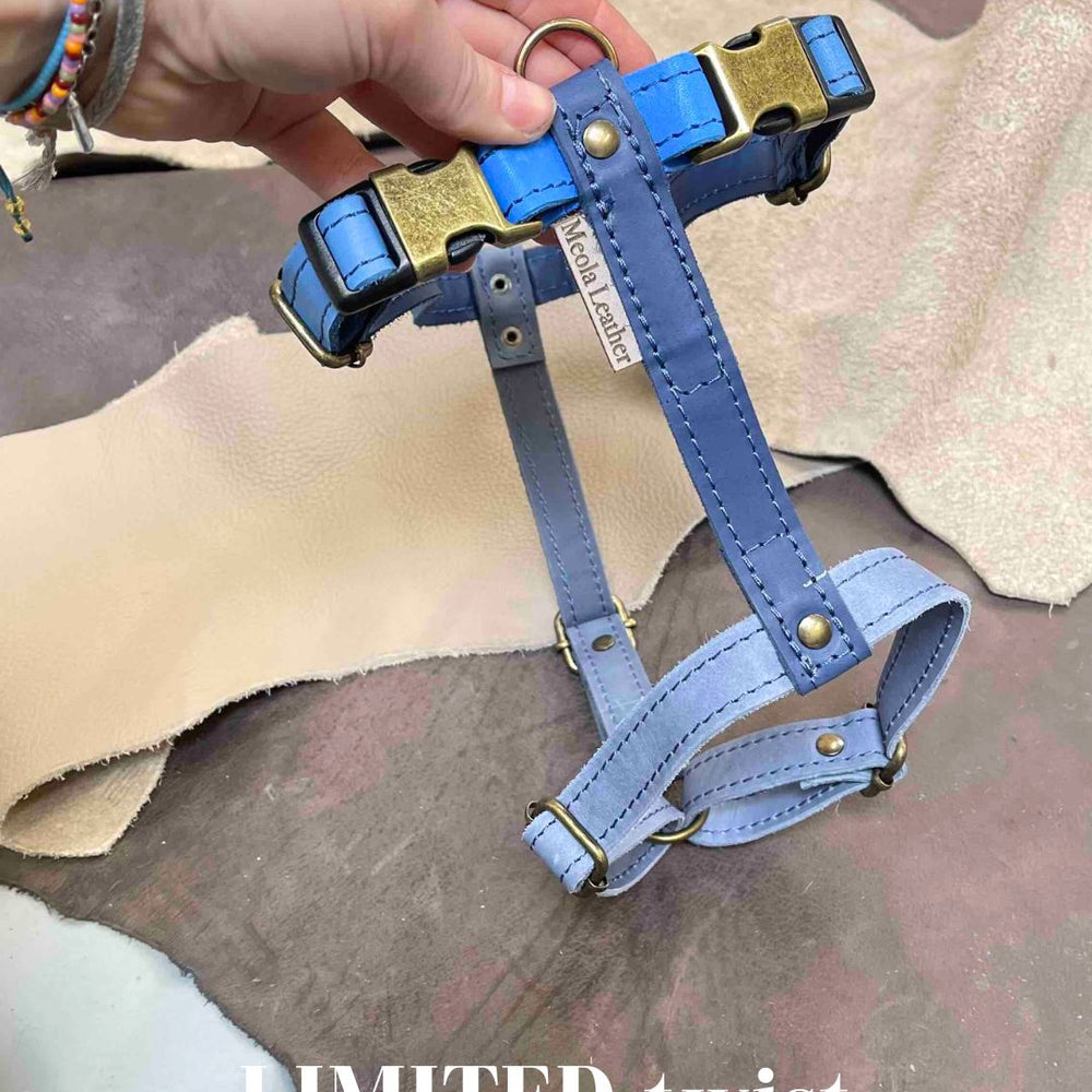 
                      
                        Limited collectie kleuren L tuigjes
                      
                    