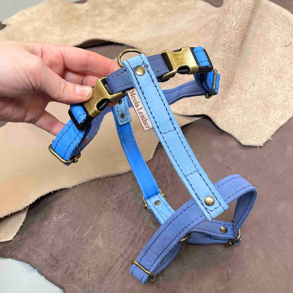 
                      
                        Limited collectie kleuren L tuigjes
                      
                    