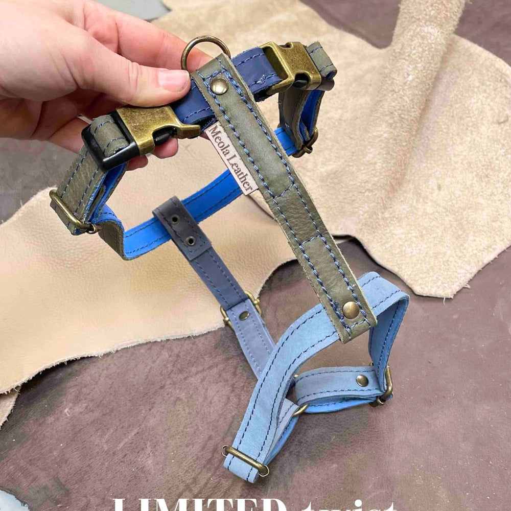 
                      
                        Limited collectie kleuren L tuigjes
                      
                    