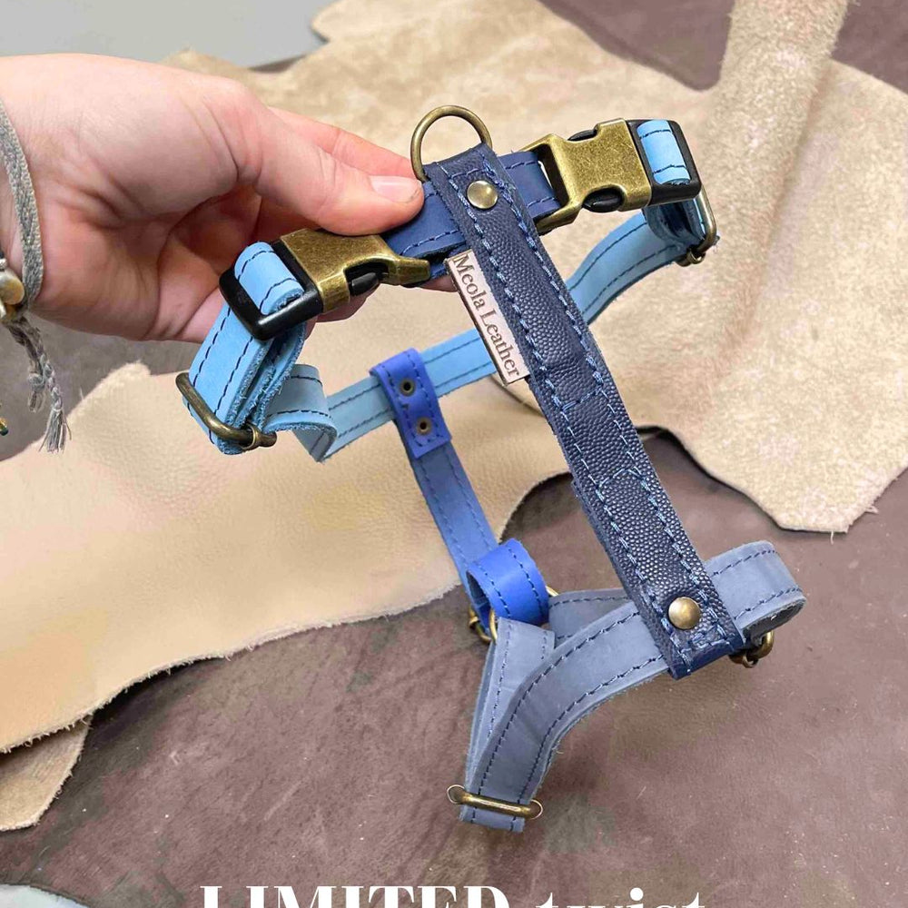 
                      
                        Limited collectie kleuren L tuigjes
                      
                    