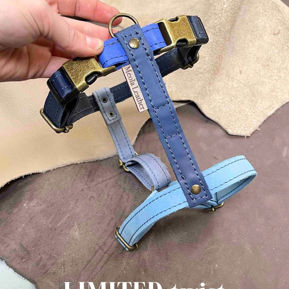 
                      
                        Limited collectie kleuren L tuigjes
                      
                    