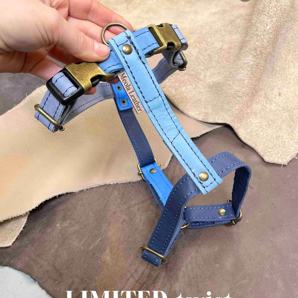 
                      
                        Limited collectie kleuren L tuigjes
                      
                    