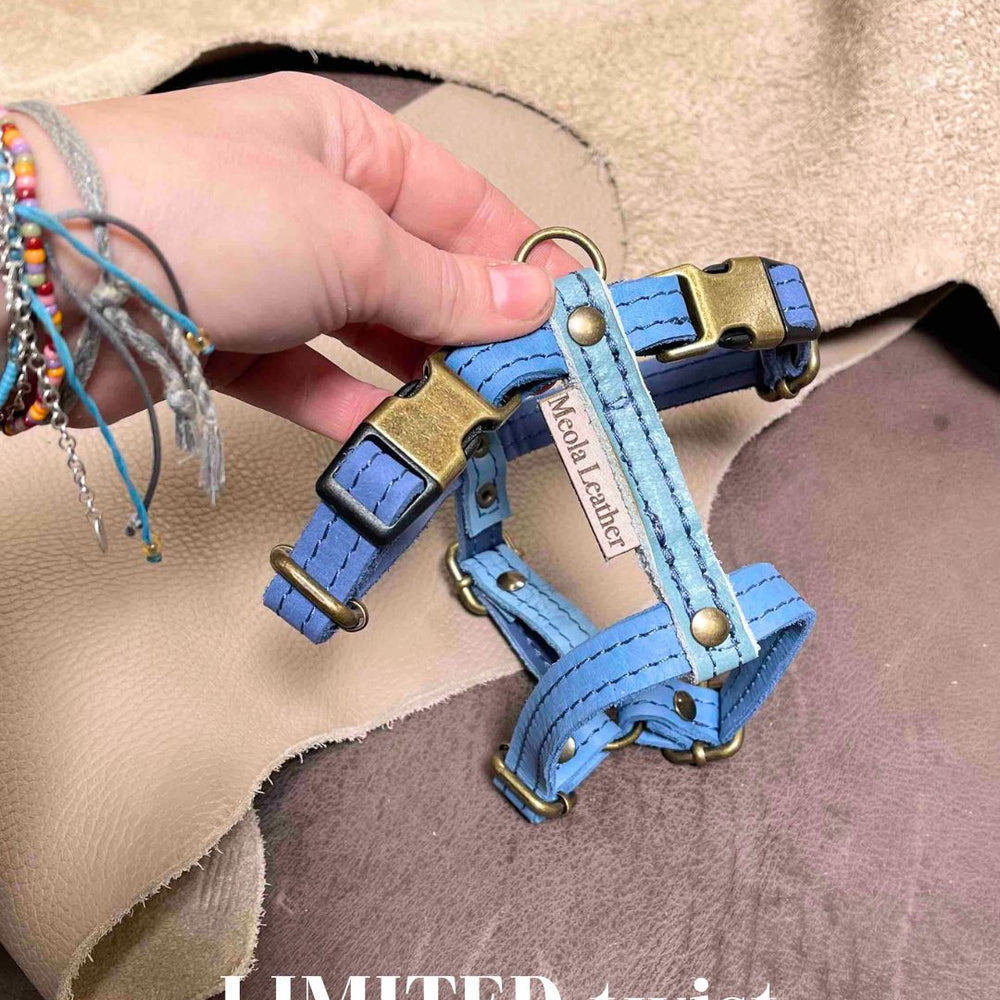 
                      
                        Limited collectie kleuren S tuigjes
                      
                    