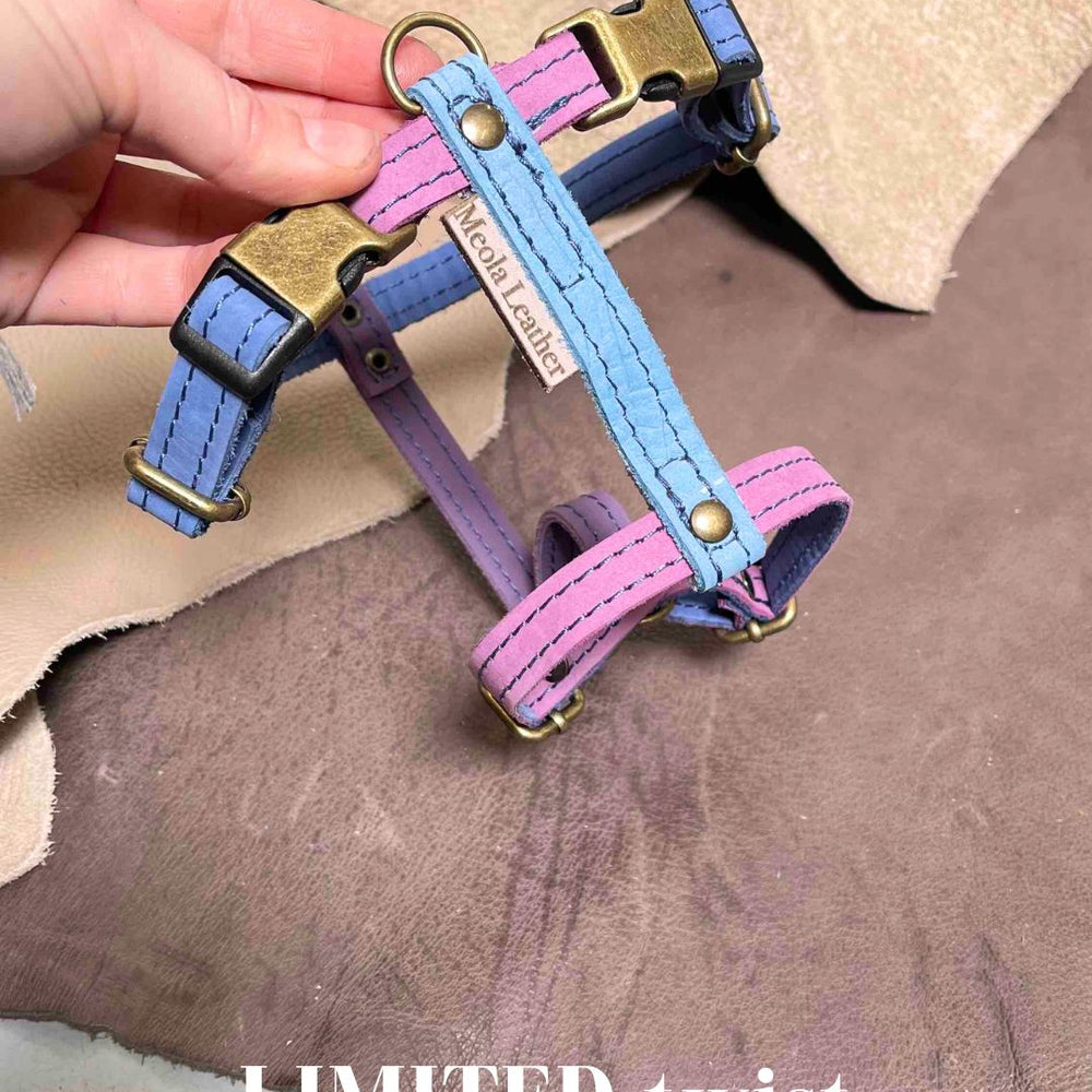 Limited collectie kleuren M tuigjes