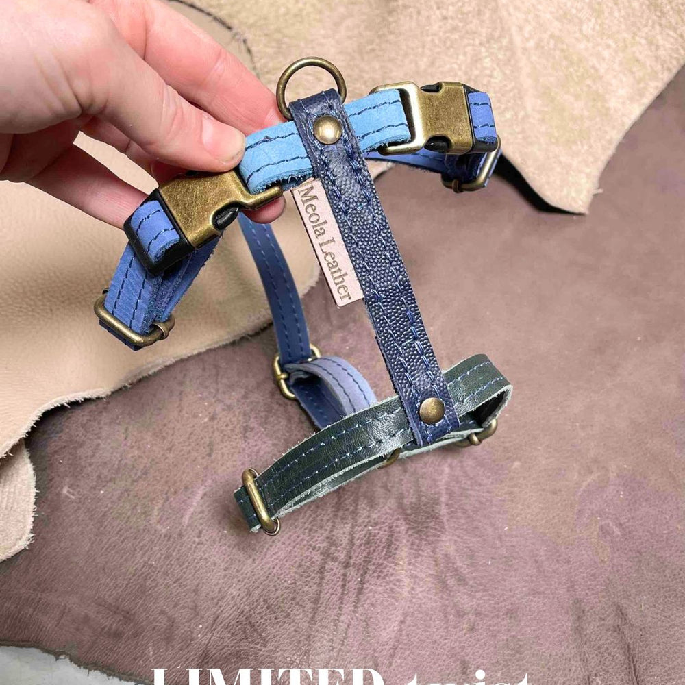 Limited collectie kleuren M tuigjes