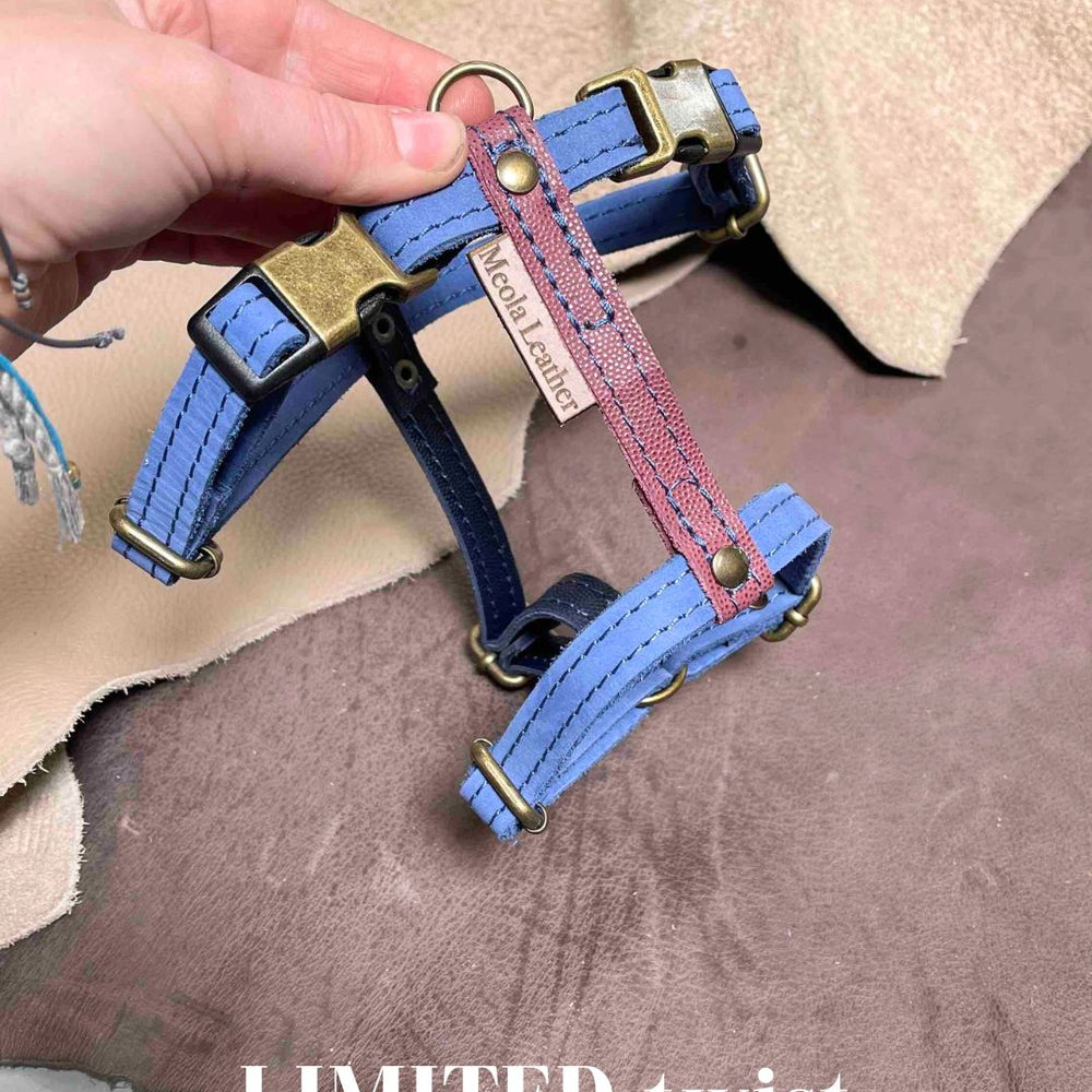 
                      
                        Limited collectie kleuren M tuigjes
                      
                    