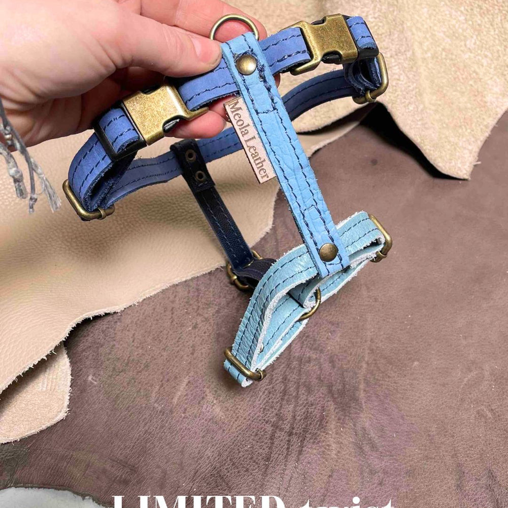 
                      
                        Limited collectie kleuren M tuigjes
                      
                    