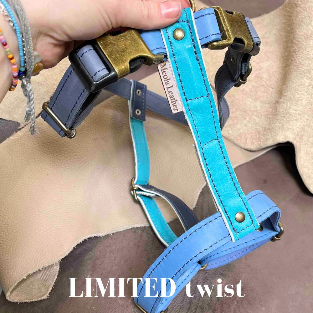 Limited collectie kleuren XL tuigjes