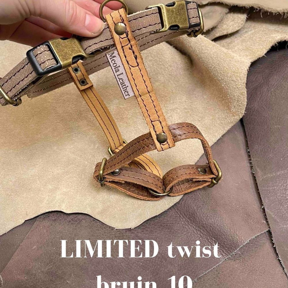 
                      
                        Limited collectie kleuren M tuigjes
                      
                    