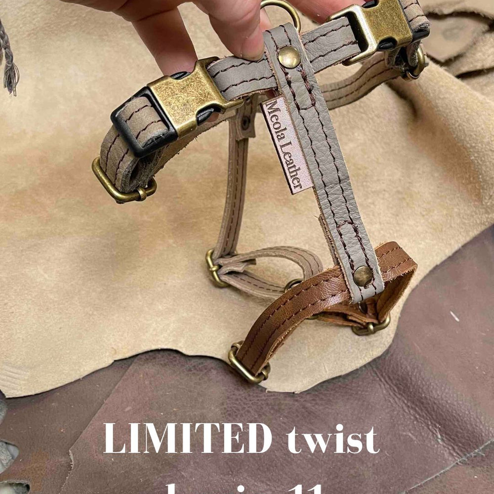 
                      
                        Limited collectie kleuren M tuigjes
                      
                    