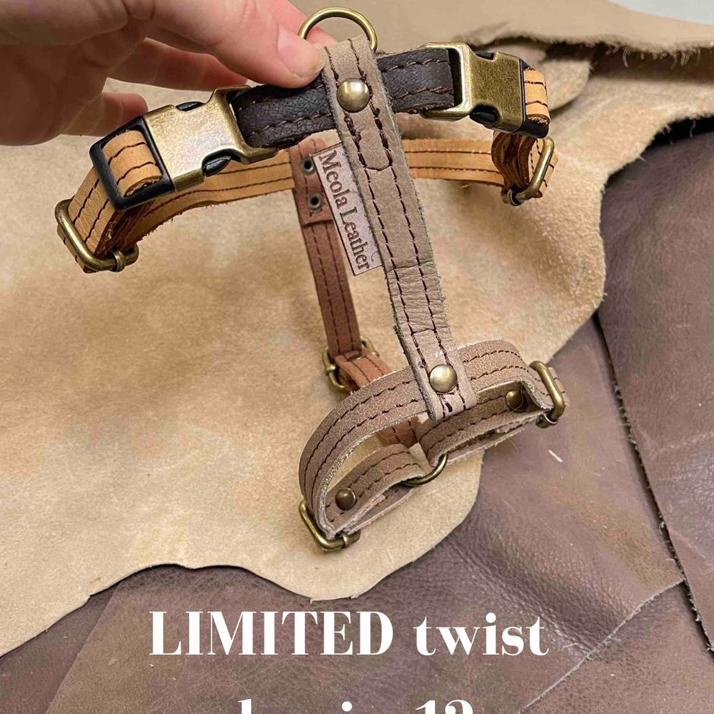 
                      
                        Limited collectie kleuren M tuigjes
                      
                    