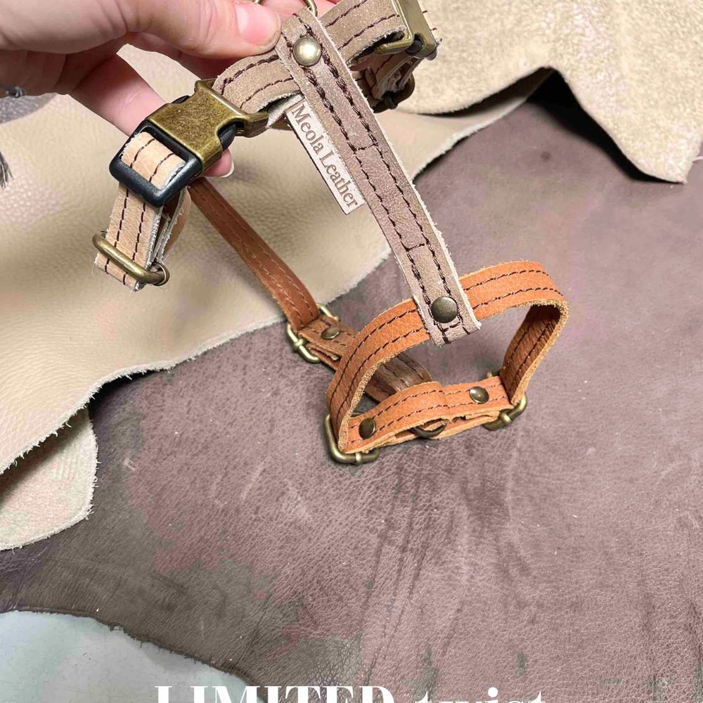 
                      
                        Limited collectie kleuren M tuigjes
                      
                    