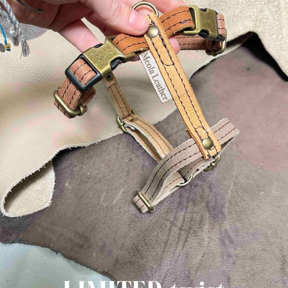 
                      
                        Limited collectie kleuren M tuigjes
                      
                    