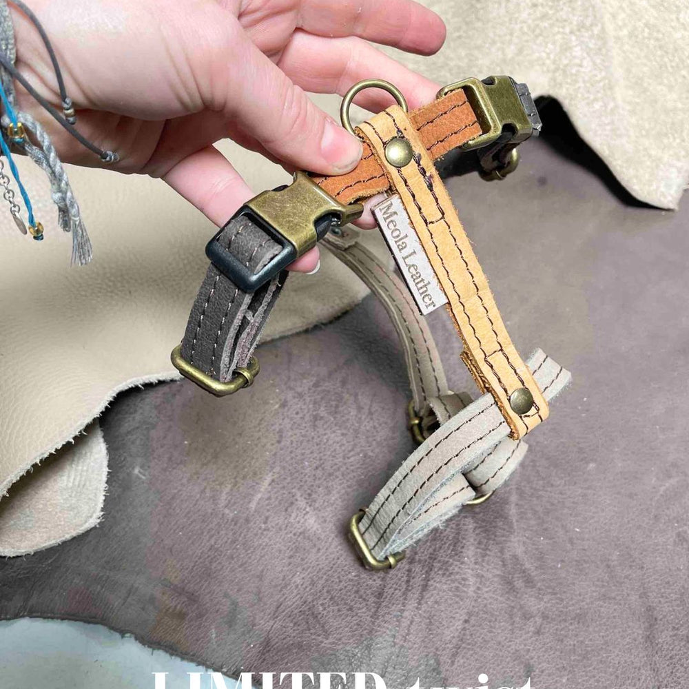 
                      
                        Limited collectie kleuren M tuigjes
                      
                    