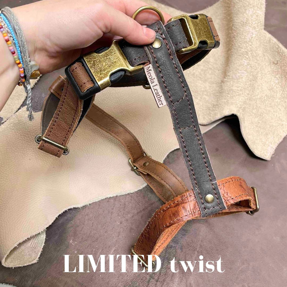 
                      
                        Limited collectie kleuren XL tuigjes
                      
                    