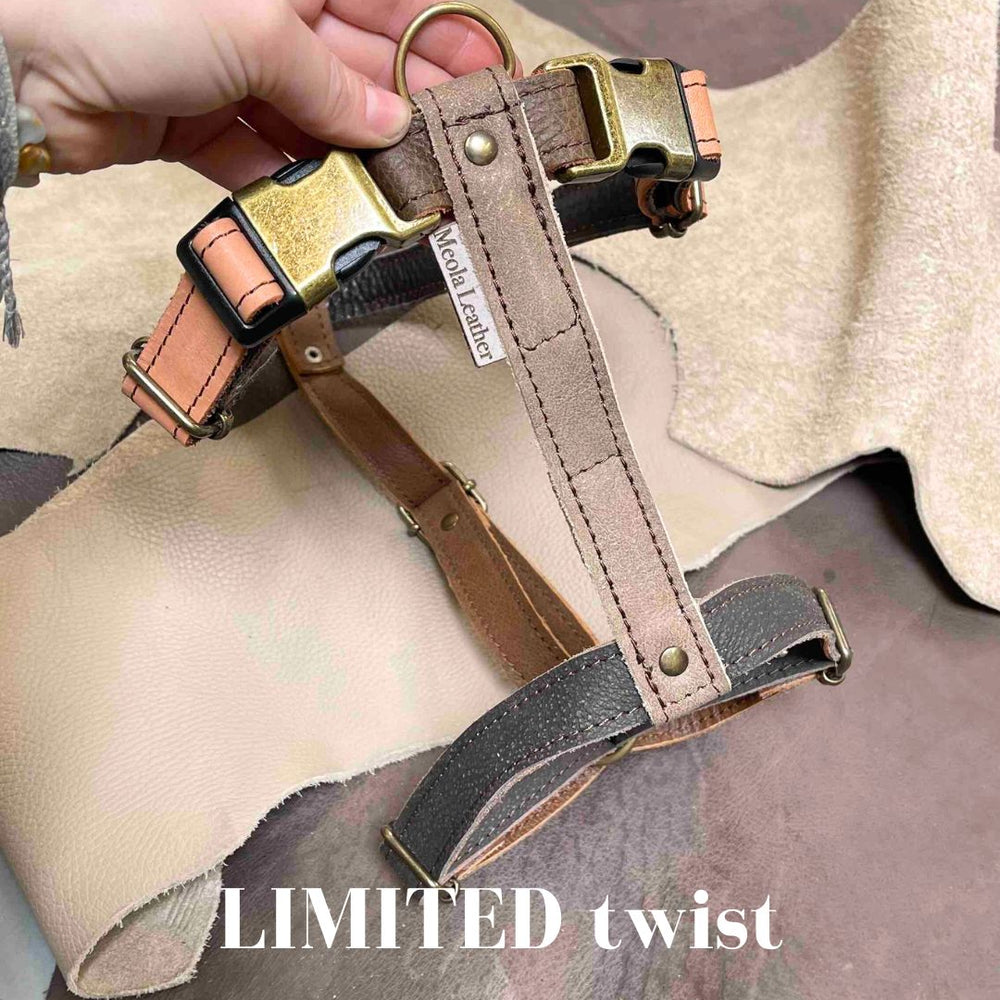 
                      
                        Limited collectie kleuren XL tuigjes
                      
                    