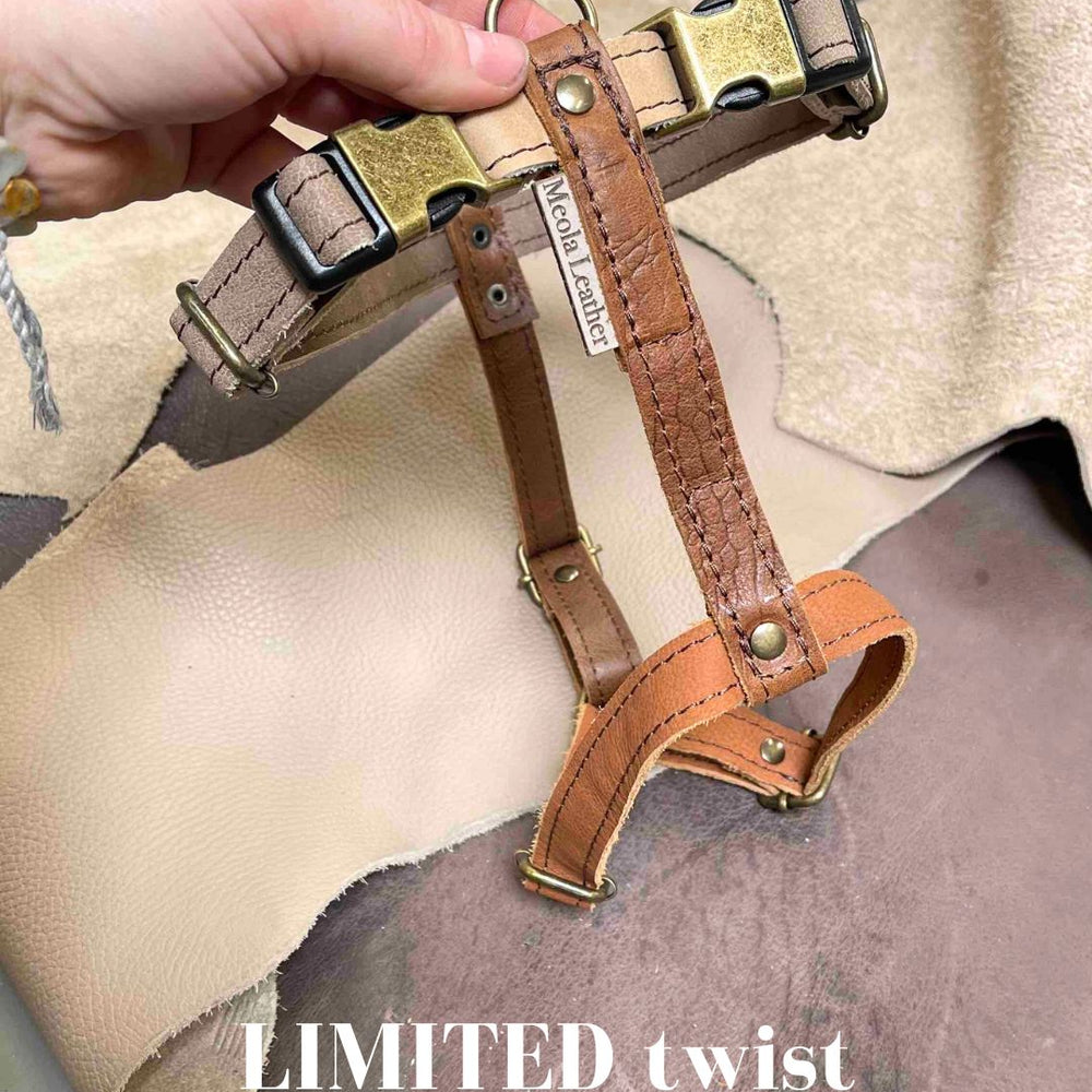 
                      
                        Limited collectie kleuren L tuigjes
                      
                    