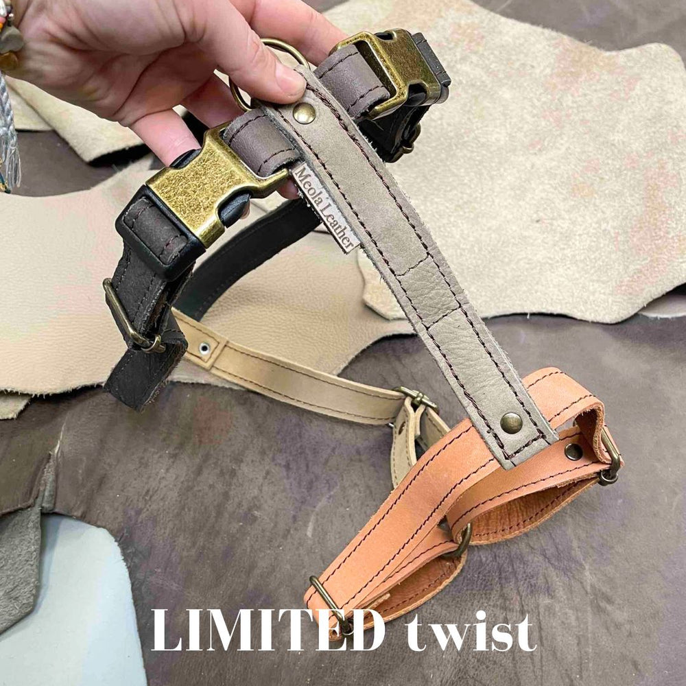 
                      
                        Limited collectie kleuren XL tuigjes
                      
                    