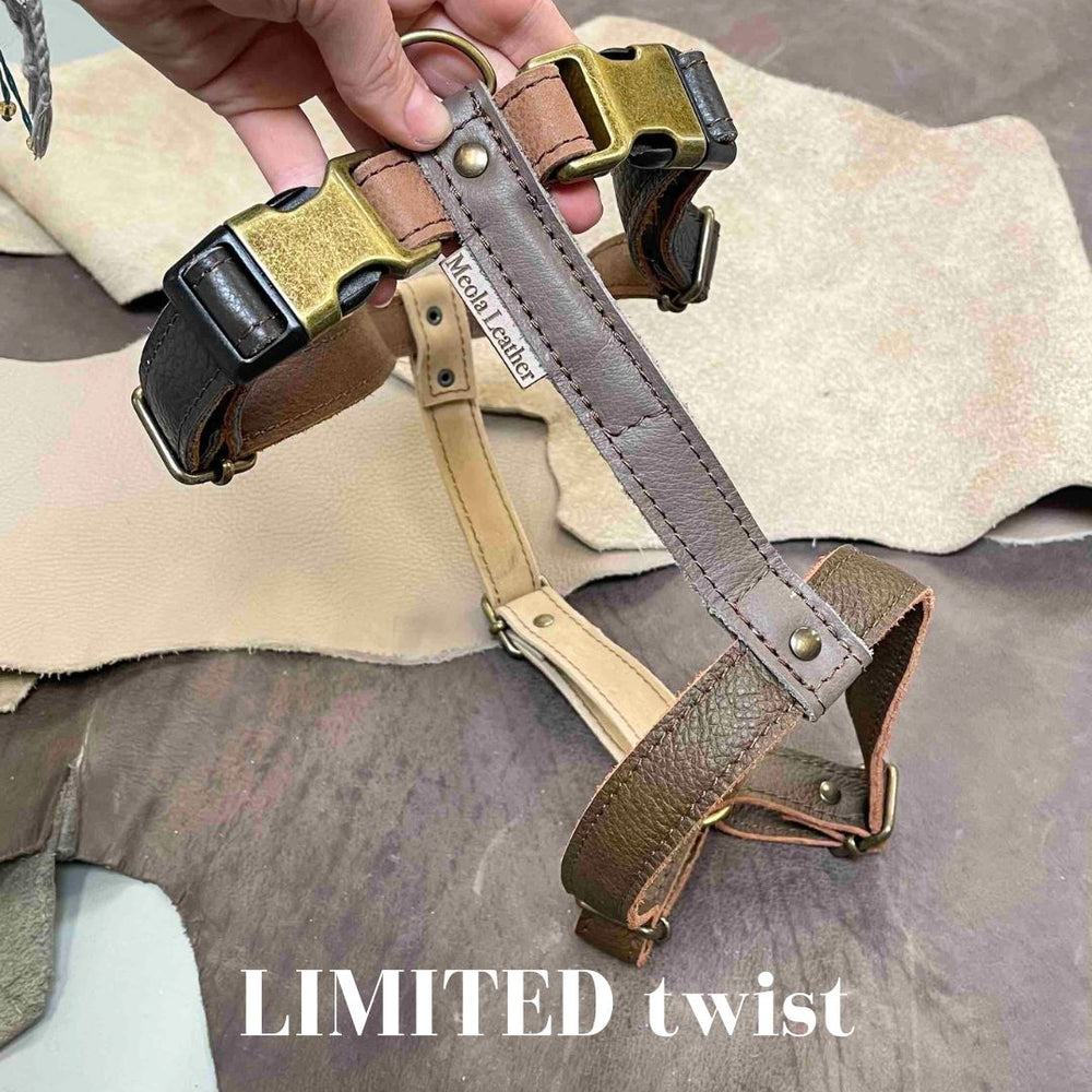 
                      
                        Limited collectie kleuren XL tuigjes
                      
                    