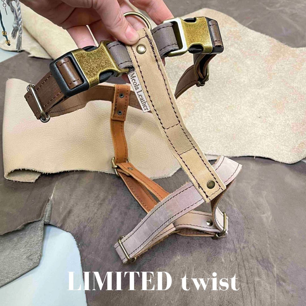 
                      
                        Limited collectie kleuren XL tuigjes
                      
                    