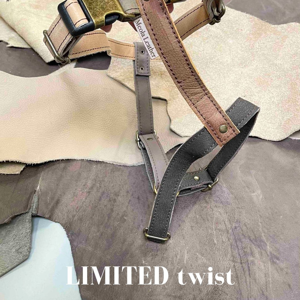 
                      
                        Limited collectie kleuren XL tuigjes
                      
                    