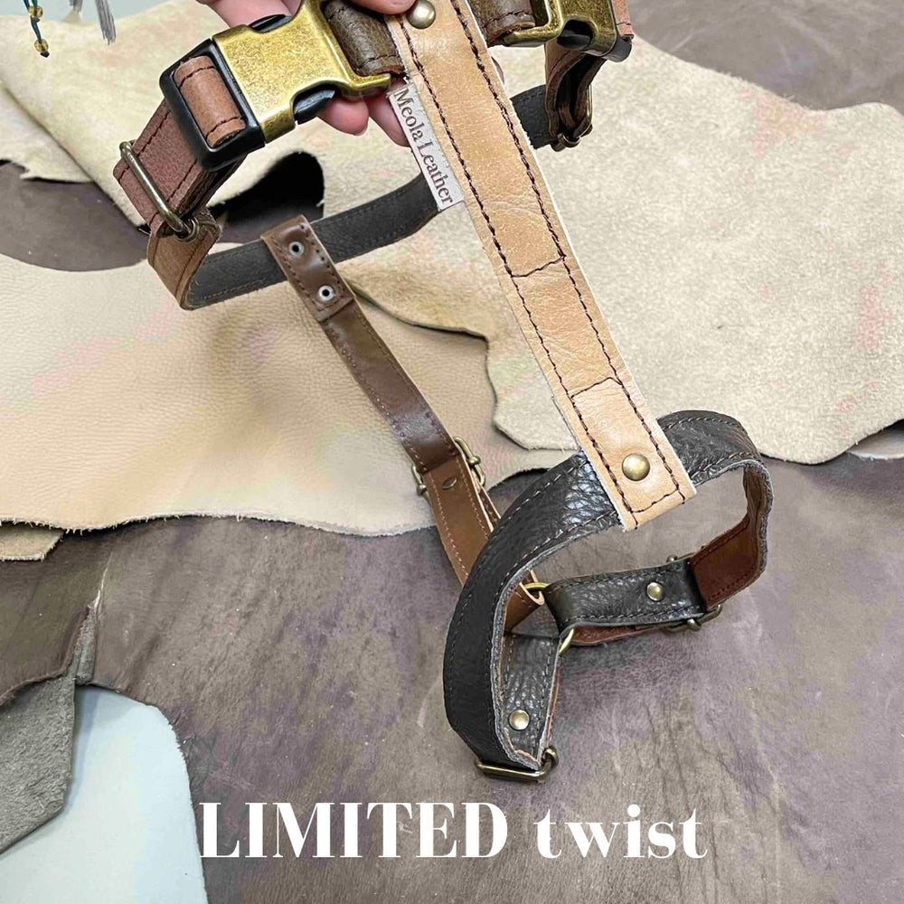 
                      
                        Limited collectie kleuren XL tuigjes
                      
                    