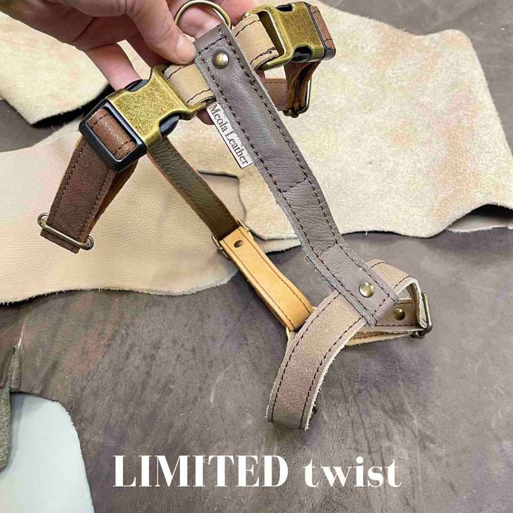 
                      
                        Limited collectie kleuren XL tuigjes
                      
                    