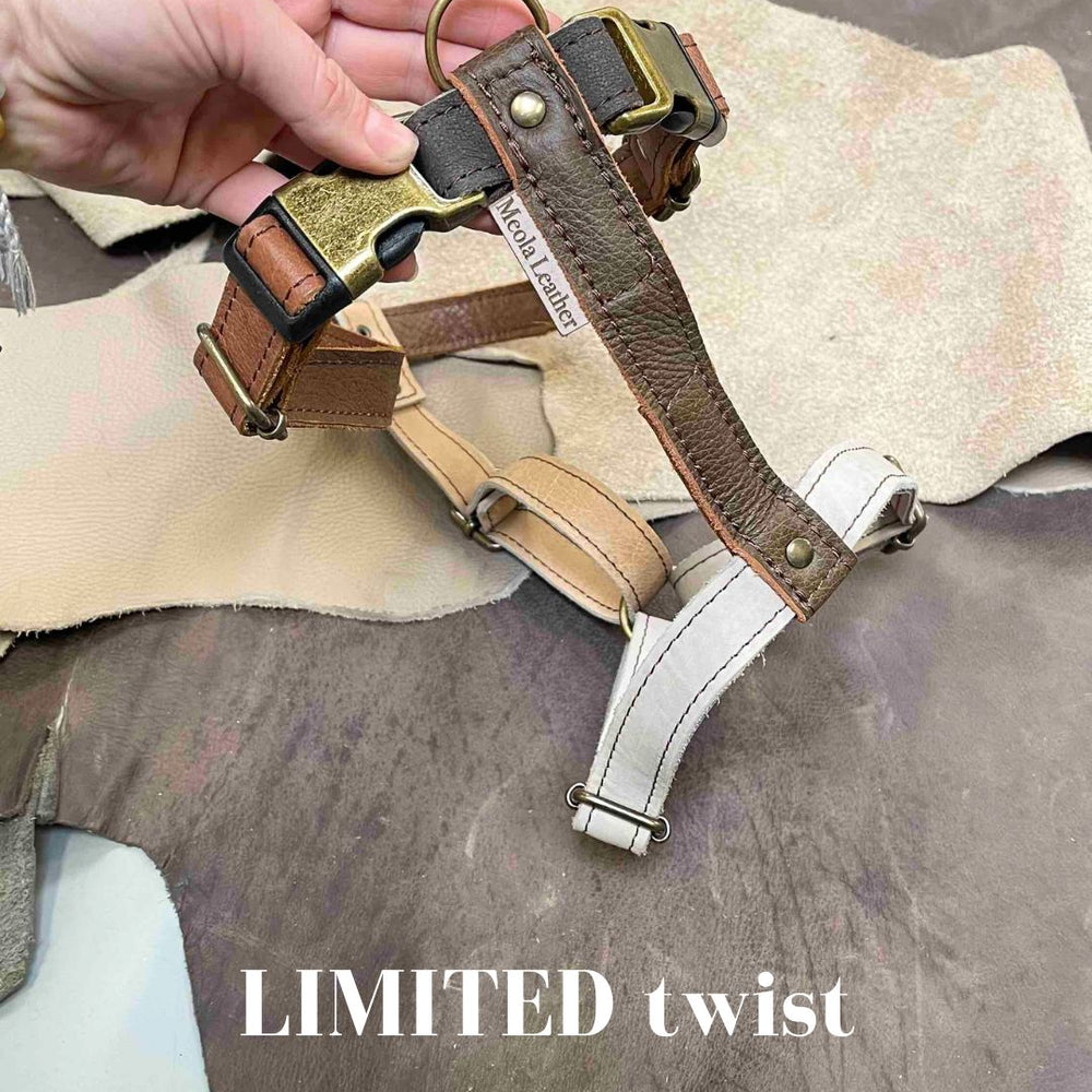 
                      
                        Limited collectie kleuren XL tuigjes
                      
                    