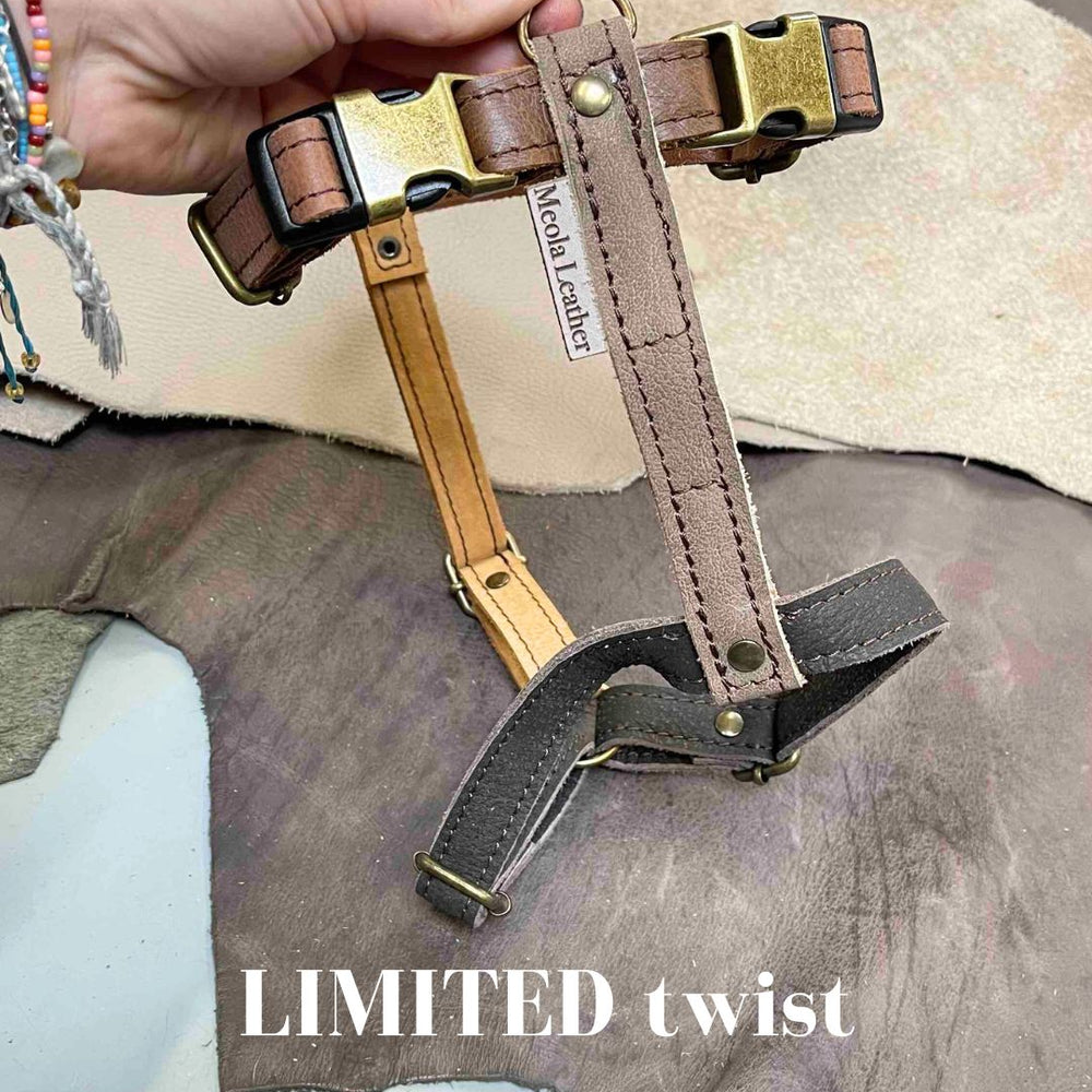 
                      
                        Limited collectie kleuren L tuigjes
                      
                    