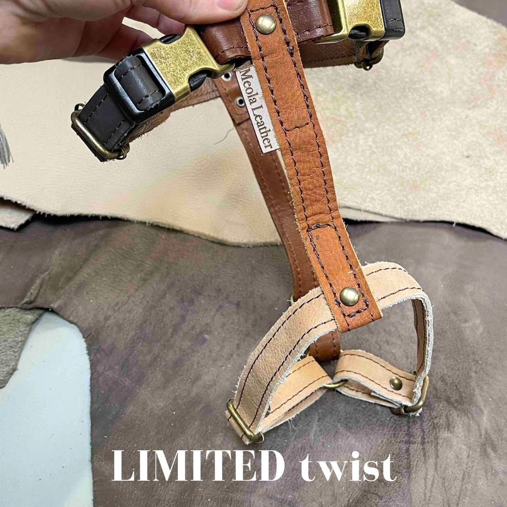 
                      
                        Limited collectie kleuren L tuigjes
                      
                    